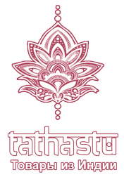 Шёлковый комплект Tathastu (топ + шорты) тш1.1